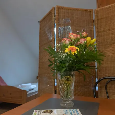 Rent A Scooter Privatunterkunft Zamárdi