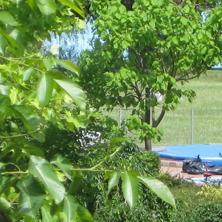 Rent A Scooter Vendeghaz * Замарди