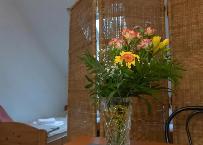 Rent A Scooter Séjour chez l'habitant Zamárdi