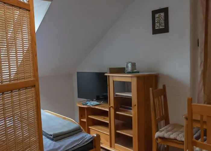 Rent A Scooter Zamárdi