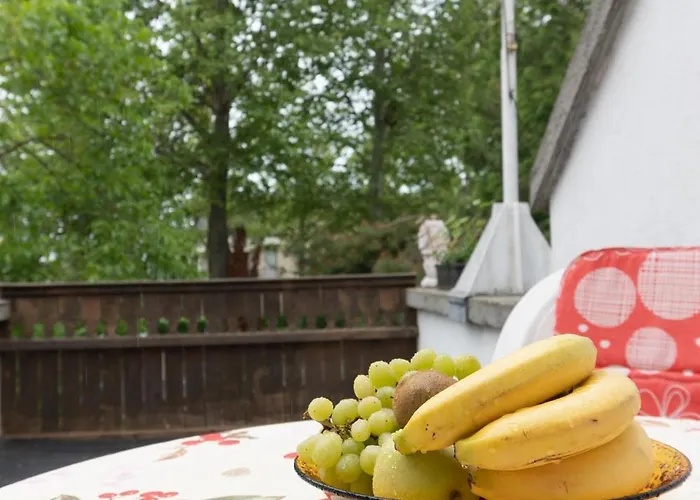 Séjour chez l'habitant Rent A Scooter
